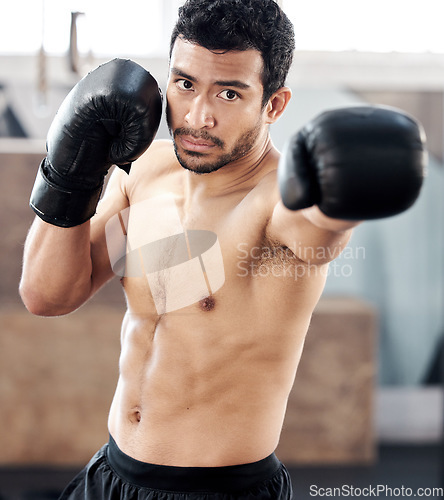 Image of Boxer, portrait and serious man in gym for punch, exercise and training for fight. Face, boxing and male athlete, fighter or sports person workout, fitness and practice for martial arts challenge.