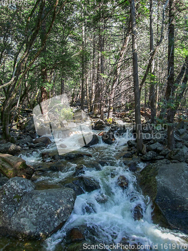 Image of Yosemite National Park