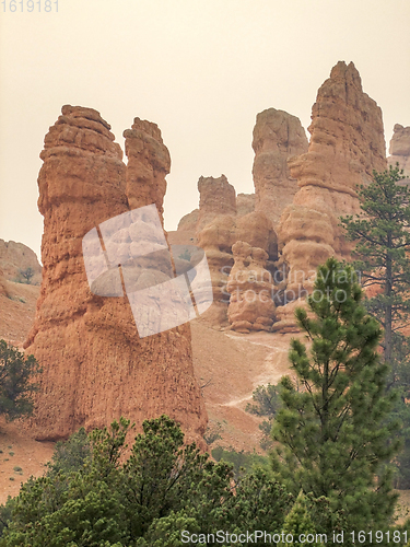 Image of Bryce Canyon National Park