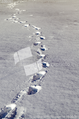 Image of footprints snow