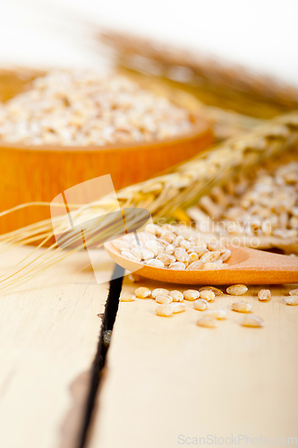 Image of organic barley grains