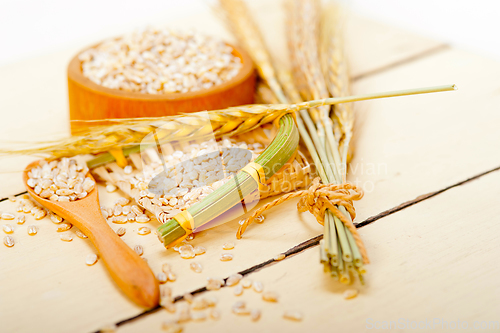 Image of organic wheat grains