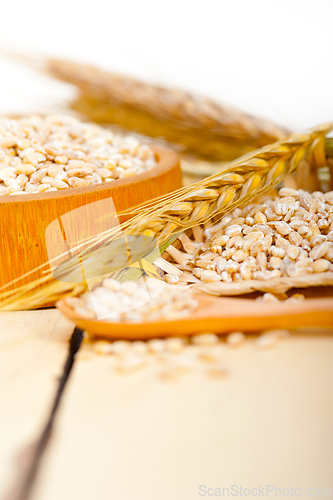 Image of organic wheat grains