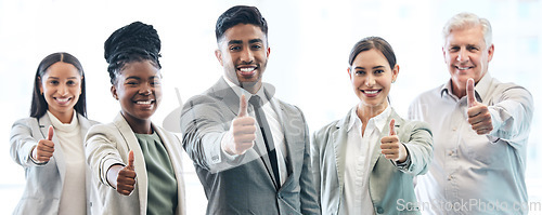 Image of Business people, portrait and thumbs up for winning, success or corporate banner in teamwork at office. Businessman and happy group with thumb emoji, yes sign or like for team approval at workplace
