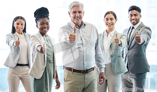 Image of Business people, portrait and thumbs up for corporate success, winning or teamwork at the office. Businessman and happy group with thumb emoji, yes sign or like for team approval at the workplace