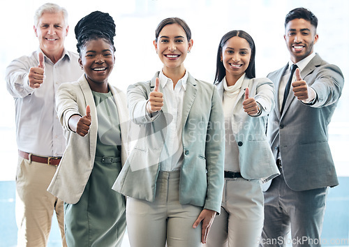 Image of Business people, portrait and thumbs up for winning, success or goals in teamwork at the office. Woman employee and happy group with thumb emoji, yes sign or like for team approval at the workplace