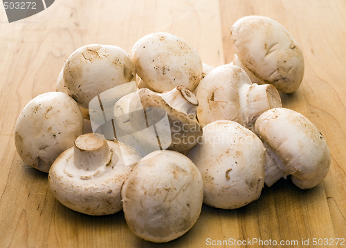 Image of Fresh Mushrooms