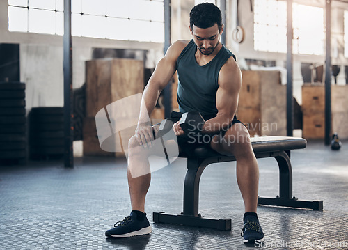 Image of Man, fitness and training with dumbbell at the gym for strong muscle for sport and power. Male athlete, workout and weight lift for exercise with strength at club with bodybuilder for challenge.