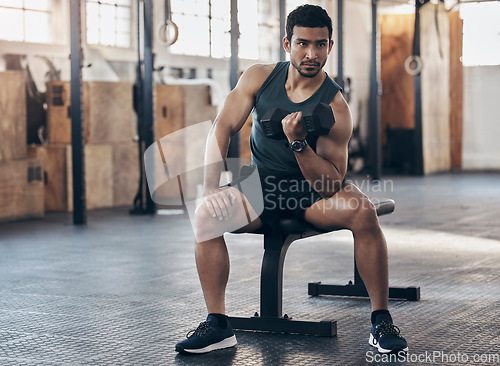 Image of Fitness, dumbbell and man doing an arm workout in the gym for strength, wellness and biceps. Sports, challenge and male athlete lifting with a weight for muscle training on bench in the sport center.