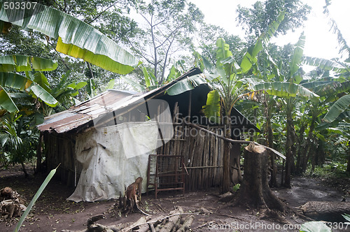 Image of typical house corn island nicaragua