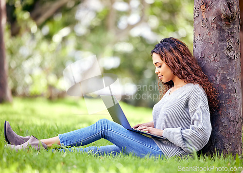 Image of Woman, student and typing on laptop at a park outdoor for education, research or studying. African person at university or college campus tree in nature with tech for knowledge, internet and learning