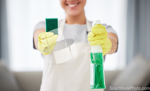 Image of Spray bottle, sponge and hands with cleaning gloves and woman with product for clean house, surface or job working with detergent. Cleaner, service and maid, helper or worker with washing products