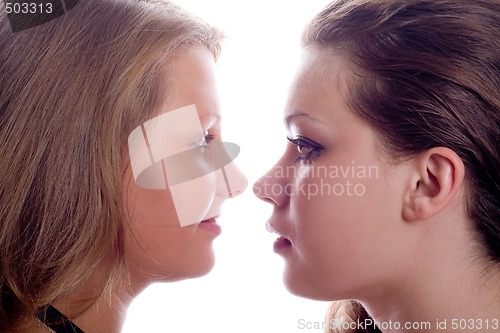 Image of Portrait of the two beauty young women. Isolated.