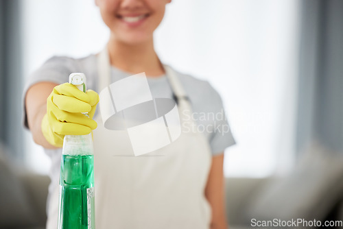 Image of Bottle, cleaning spray and woman with gloves to clean house, surface or job working with washing detergent. Cleaner, service and apartment maintenance with a maid, helper or worker with products