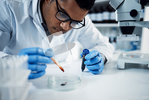 Image of Science, blood test and male scientist in a laboratory doing research with dna sample tubes. Rna, medical innovation and professional man researcher working on a data project in a pharmaceutical lab.