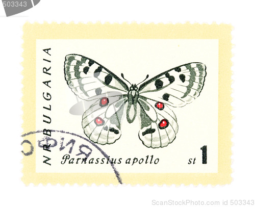Image of Stamp with butterfly