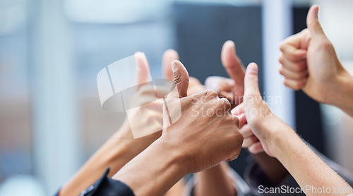Image of Thumbs up, diversity and closeup of hands of business people in the office for celebration. Success, achievement and zoom of group of professional employees with an approval hand gesture in workplace
