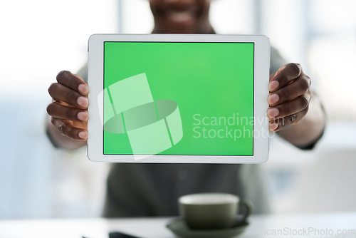 Image of Hands, tablet and green screen mockup for advertising, marketing or branding at office. Closeup hand of person holding technology with chromakey display for advertisement or copy space at workplace