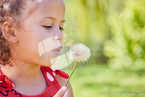 Image of Spring, dandelion and relax with child in park for freedom, youth and growth with mockup space. Nature, summer and flowers with young girl and plant in outdoors for wish, good luck and dream