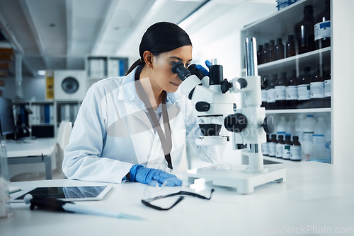 Image of Woman, scientist and microscope analysis to check DNA sample with science experiment in laboratory. Female doctor analyze data, scientific innovation and medical research in lab with investigation