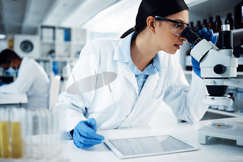 Image of Microscope, digital tablet and woman scientist in a laboratory for science, research and data analysis. Healthcare, investigation and female expert online for medical, innovation and development