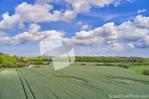 Image of Nature, field and environment with drone of countryside for agriculture, farming and summer. Grass, travel and landscape with aerial view of meadow and blue sky for growth, plants and ecology