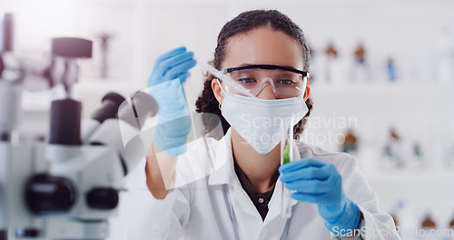 Image of Herbal plant medicine, lab research and woman scientist with test tube of a employee with science work. Laboratory, working and chemistry for medical and analysis doing botanical analytics with mask