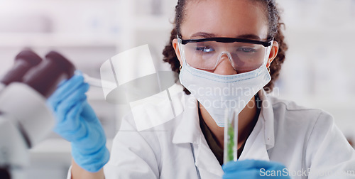 Image of Science, pharmacy and plant with woman in laboratory for medical, agriculture and research. Biotechnology, ecology and healthcare with gmo scientist and test tube for biology, vaccine and medicine