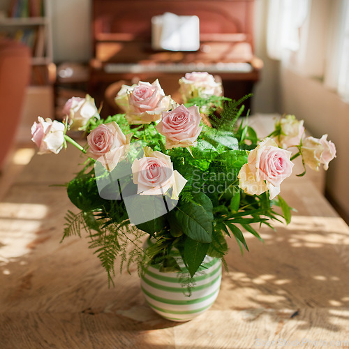 Image of Closeup of bouquet of pink roses in a vase, flowers and nature on living room table, gift for romance or friendship. Plant, botanical and symbol of love, natural and floral arrangement at home