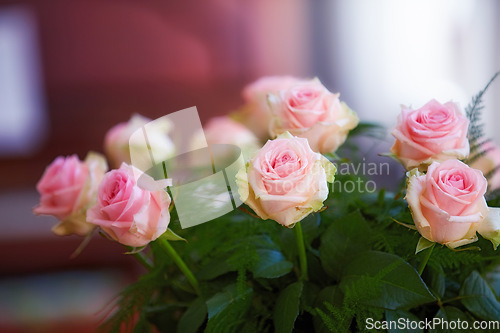 Image of Closeup of bouquet of pink roses, nature and leaves with flowers, gift and celebration with romance or friendship. Plant, botanical and love with symbol of affection, natural and floral with blossom