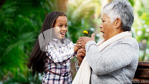 Image of Young girl, grandmother and a surprise flower for senior woman or excited child or family bond with pensioner and giving summer daisy in the park. Happy kid, plant and shock with elderly on the bench