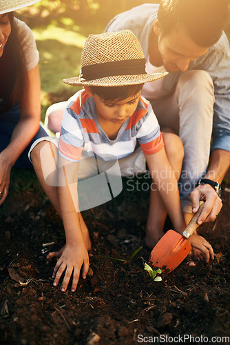 Image of Family, soil or learning to plant in garden for sustainability, agriculture care or farming development. Kid, natural growth or hands of parents with spade for sand or planting for teaching a child