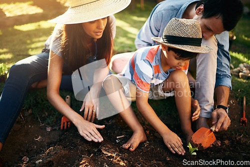 Image of Family learning with plants in garden for sustainability, agriculture and care outdoor. Father, mother or parents gardening with child in sand, soil and teaching kids of growth in natural environment