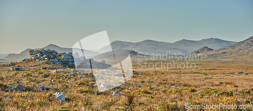 Image of Mountains, grass and space with field in park for landscape, environment or flowers. Bush, summer and wilderness with reserve in Cape Town ecology for floral habitat, sustainability and nature mockup