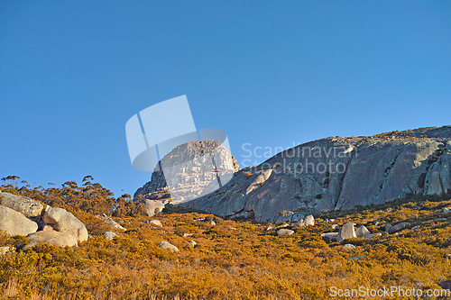 Image of Nature, mountain and rock with field in park for landscape, environment and flowers. Bush, summer and wilderness with reserve in Cape Town ecology for floral habitat, sustainability and mockup space