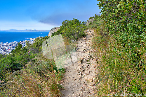 Image of Nature, hiking trail and greenery on a mountain for outdoor travel adventure in South Africa. Landscape, hill and gravel path for trekking journey with green trees, grass or plants in woods or forest