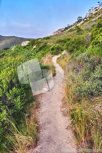 Image of Nature, hiking trail and plants on a mountain for an outdoor travel adventure in South Africa. Landscape, hill and gravel path for trekking journey with green trees in the scenic woods or forest.