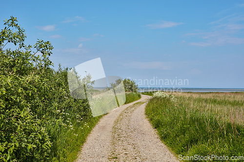 Image of Dirt road, path and green grass in the countryside for travel, agriculture or natural environment. Landscape of lush plant growth, greenery or farm highway with blue sky for sustainability in nature