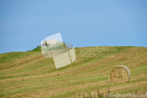 Image of Farm, field and landscape, nature and countryside with environment and agriculture location in Denmark. Fresh air, grass and land with farming destination and hay bale outdoor with natural scenery