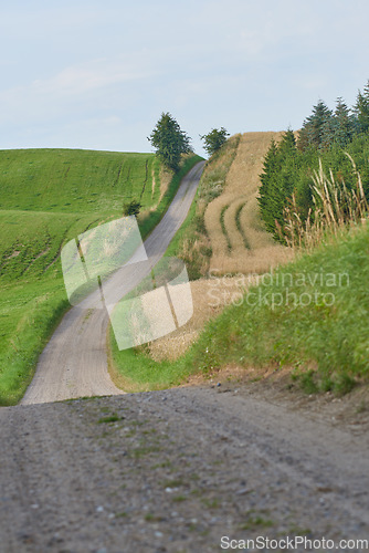 Image of Road, path in countryside and landscape with travel, farm land in Denmark with nature and environment. Journey, green and agriculture location, rural drive way and natural scenery with farming field