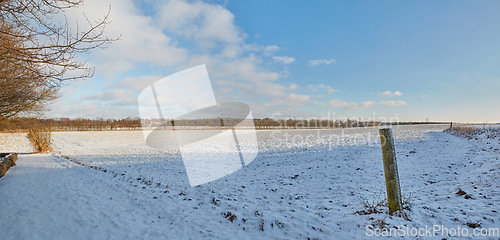 Image of Snow, field and landscape with nature and outdoor, environment with winter and location in Denmark. Cold, fresh air and natural scenery with Earth, eco and destination with ice meadow and weather
