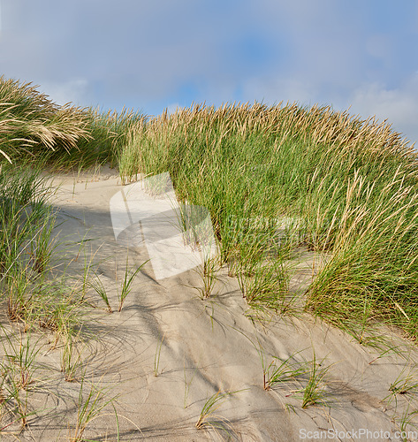 Image of Sand, beach and landscape, nature and travel with environment and coastal location in Denmark. Fresh air, grass and land with tropical seaside destination and journey outdoor with natural scenery