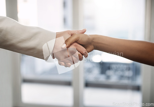 Image of Handshake, agreement and hands of business people in office for partnership, collaboration and success. Corporate team, recruitment and and women shaking hand for thank you, welcome and onboarding