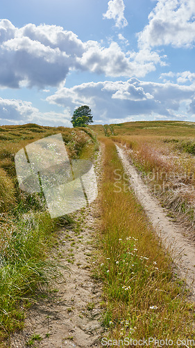 Image of Dirt, path with countryside and travel, green and nature with direction, destination and open field. Blue sky, land and drive way with road through grass, journey and traveling view with environment