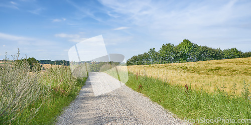 Image of Countryside, road and path to drive on farm, forest or landscape with trees on horizon or travel in rural dirt roadway. Pathway, journey in farmland or asphalt line in grass fields and nature