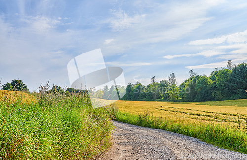 Image of Dirt, road with country landscape and travel, green and nature with direction, destination and open field. Blue sky, land and drive way with path through grass, journey and view while travelling