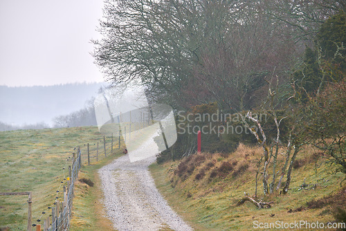 Image of Road, landscape and countryside with travel, green and nature with direction, destination and outdoor. Land, drive way with path through trees, journey and traveling view with environment and farm