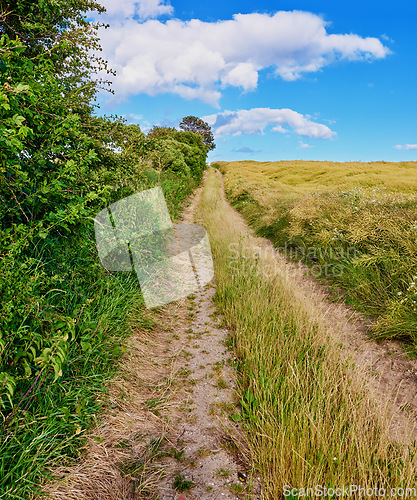 Image of Road, path and countryside with travel, green and nature with direction, destination and farm field. Blue sky, land and drive way with grass and bush, journey and traveling view with environment