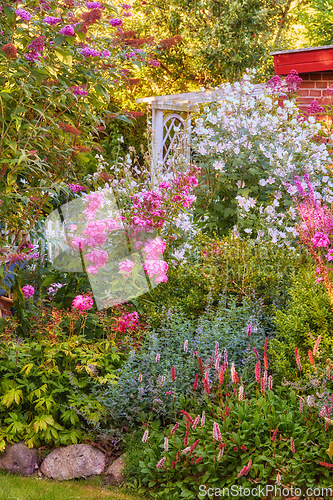 Image of Spring, nature and peace with flowers in garden for blossom, landscape and sustainability. Gardening, environment and growth with plants in forest meadow for ecology, floral and ecosystem