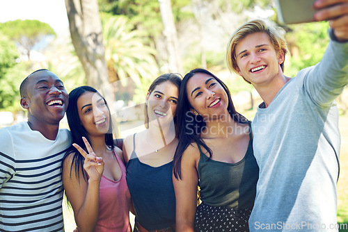 Image of Friends, group selfie and park with smile, happiness or diversity for social media post, app or blog. Men, women and students with youth, photography or profile picture for solidarity, summer or walk